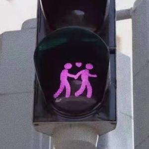 日本高清在线中字视频
